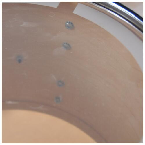 Image 8 - Dw Collectors Series 10" 12" 14" 22" Maple Keller Shell drum kit in Flame Maple Natural Satin Oil