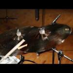 Video thumbnail 3 - Meinl Classics Custom Crash Cymbals